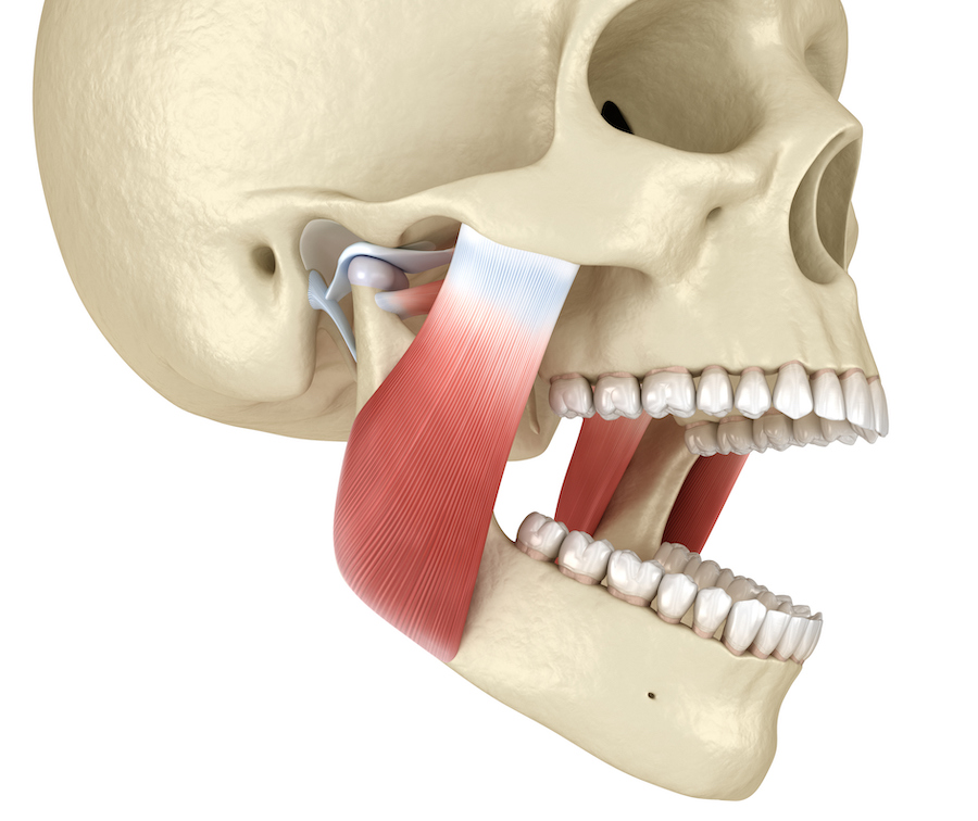 Technical graphic illustration of TMJ anatomy with jaw alignment.